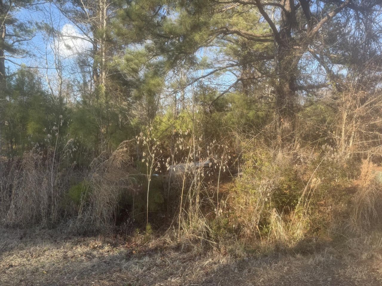 000 Flake Road Photo 9