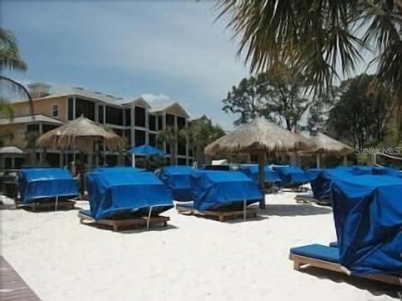 602 New Providence Promenade, Unit 17602, Davenport, FL 33897 Photo