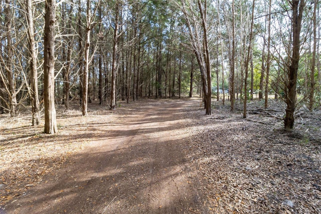 8350 NW 77th Place, Chiefland, FL 32626 Photo