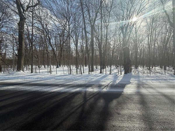 V/L Stage Road, Akron, NY 14001