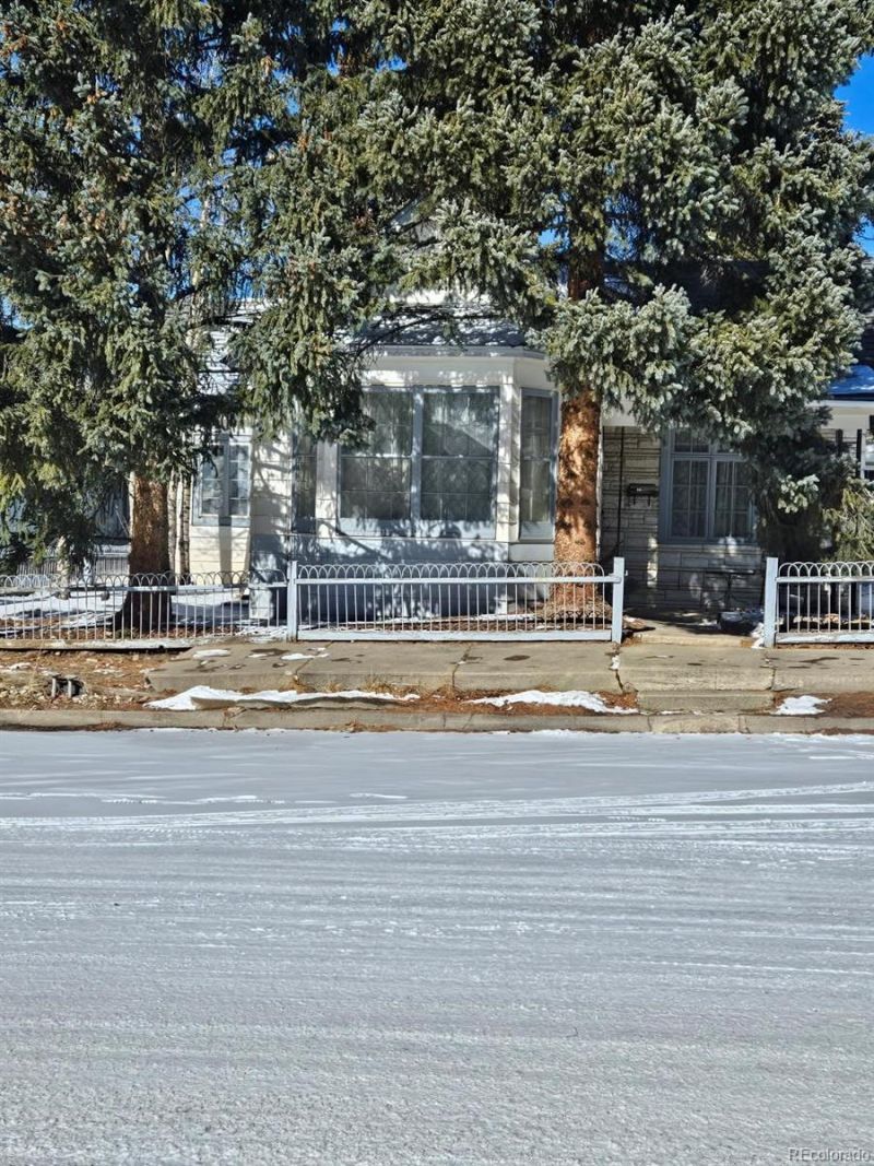 414 W 3rd Street, Leadville, CO 80461 Main Photo