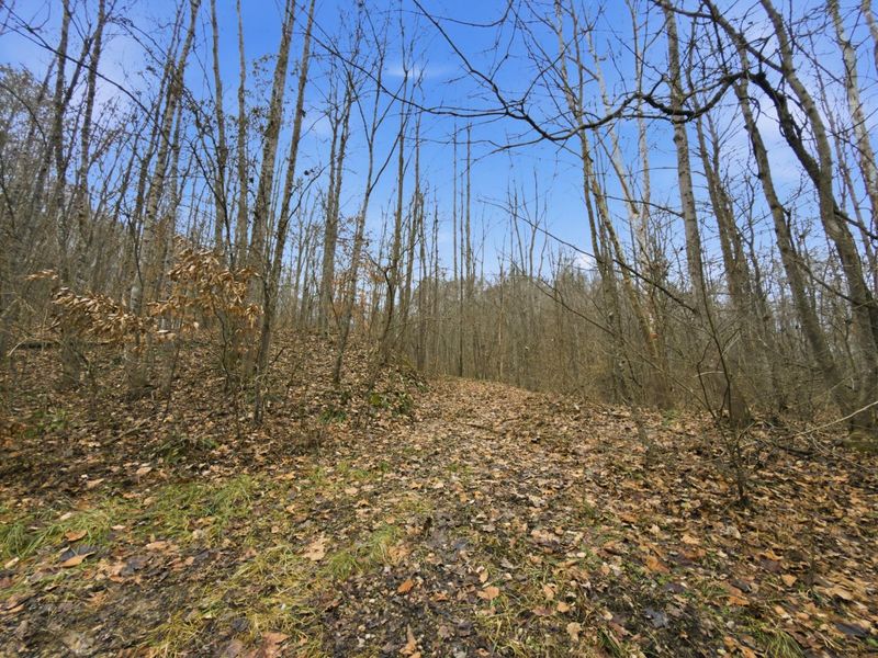 0 E Side Geer Mill Road , Vinton, OH 45686 Photo 12