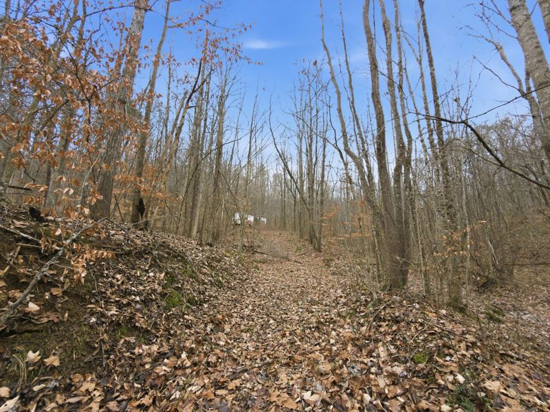 0 E Side Geer Mill Road , Vinton, OH 45686 Photo 13