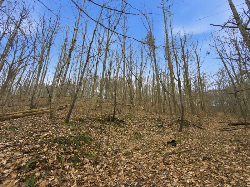 0 E Side Geer Mill Road , Vinton, OH 45686 Photo 15