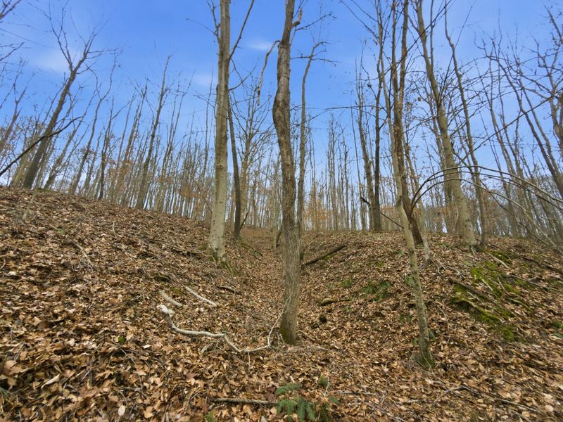 0 E Side Geer Mill Road , Vinton, OH 45686 Photo 16