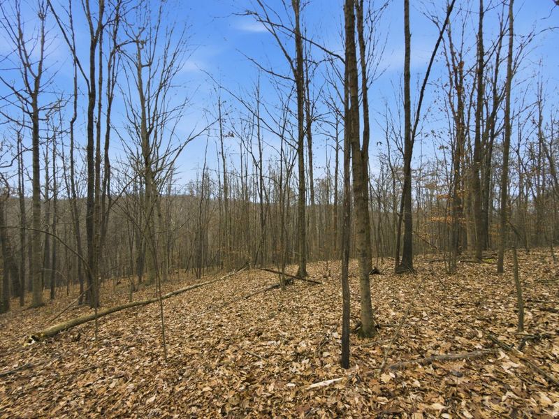 0 E Side Geer Mill Road , Vinton, OH 45686 Photo 17