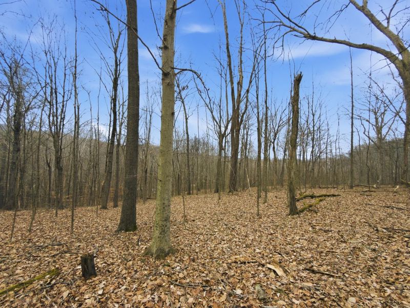 0 E Side Geer Mill Road , Vinton, OH 45686 Photo 18