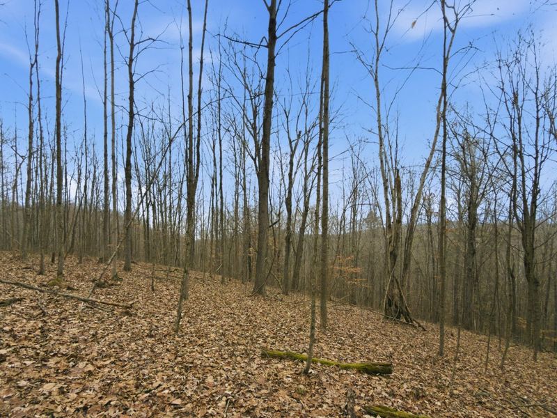 0 E Side Geer Mill Road , Vinton, OH 45686 Photo 19