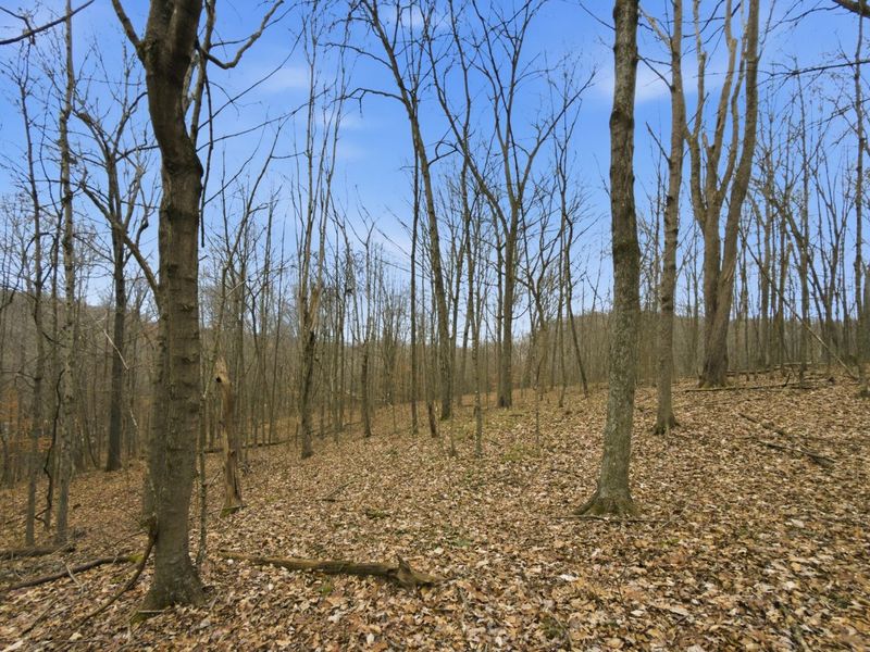 0 E Side Geer Mill Road , Vinton, OH 45686 Photo 20