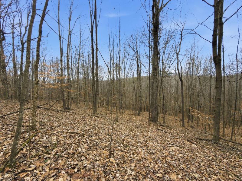 0 E Side Geer Mill Road , Vinton, OH 45686 Photo 21