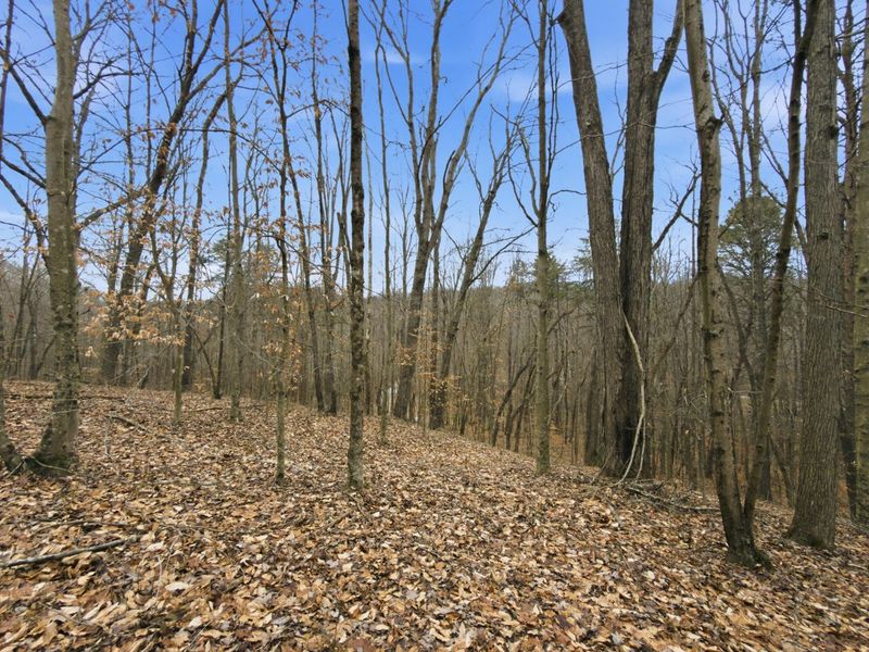 0 E Side Geer Mill Road , Vinton, OH 45686 Photo 22