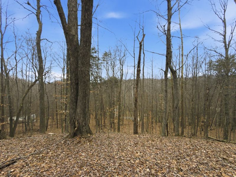 0 E Side Geer Mill Road , Vinton, OH 45686 Photo 23