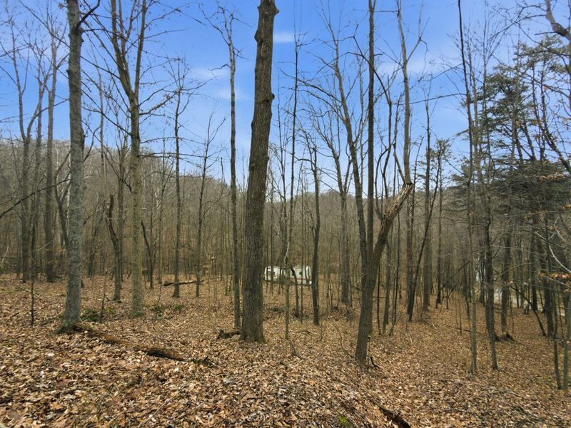 0 E Side Geer Mill Road , Vinton, OH 45686 Photo 24