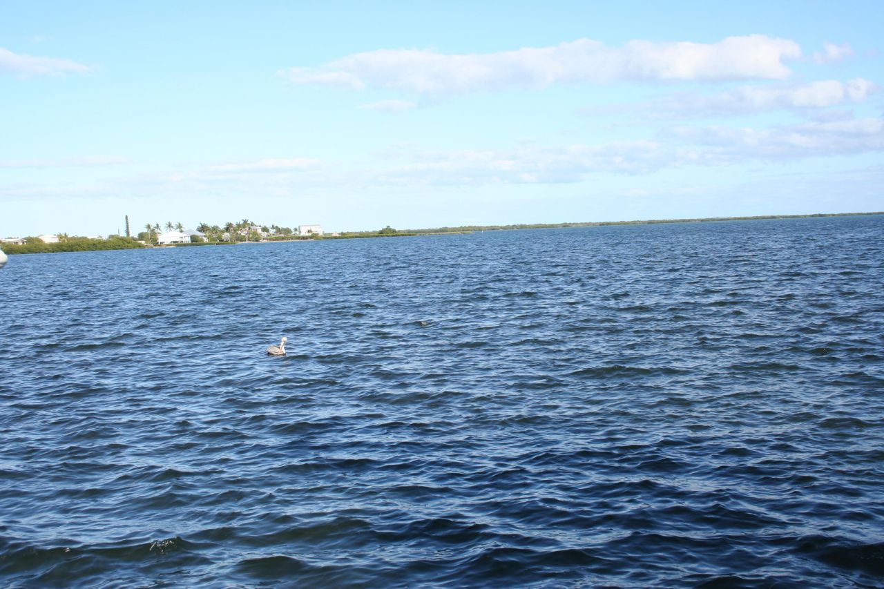 1553 Sunrise Drive, Big Pine Key, FL 33043 Photo