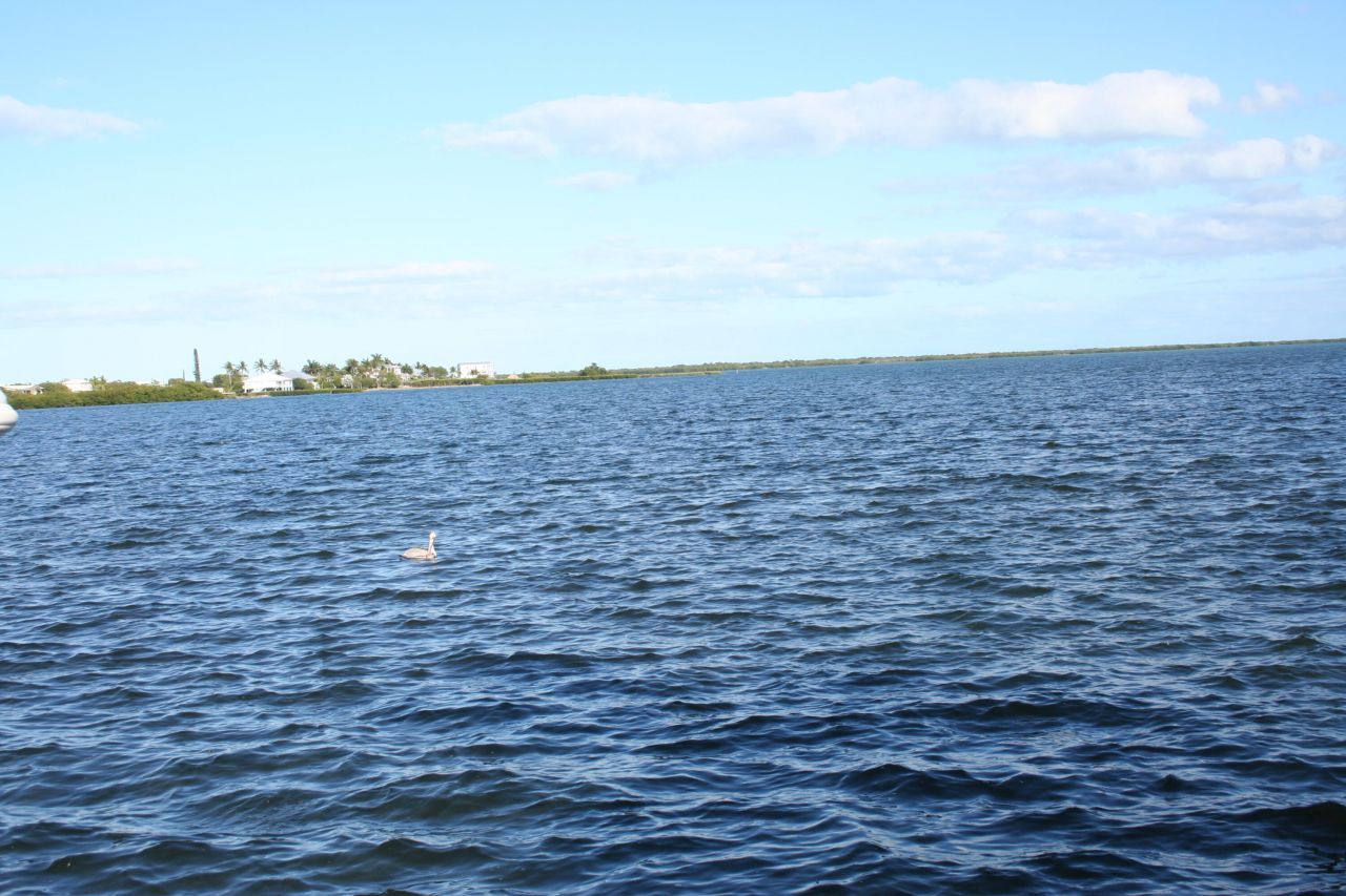 1553 Sunrise Drive, Big Pine Key, FL 33043 Photo