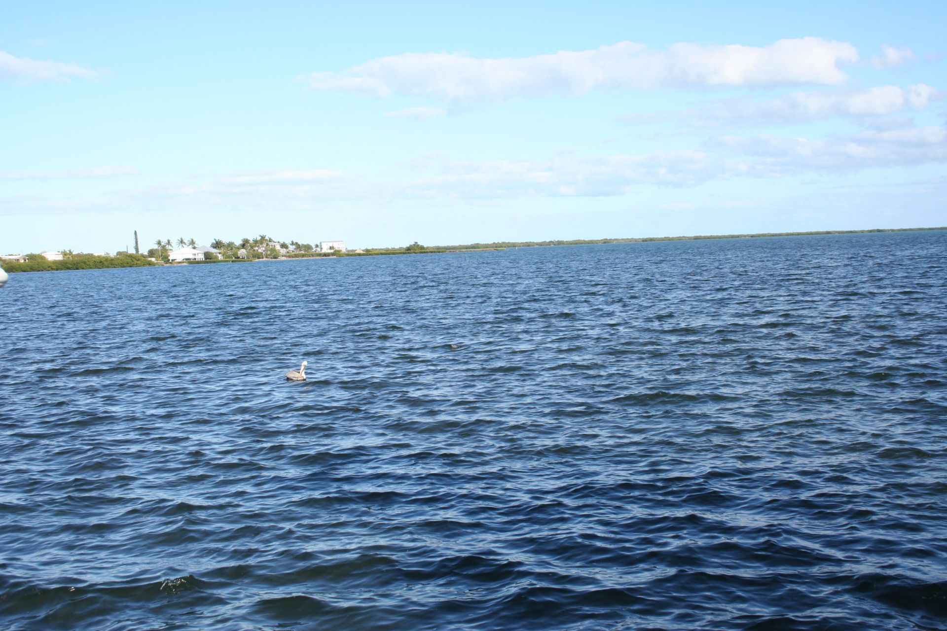 1553 Sunrise Drive, Big Pine Key, FL 33043 Photo