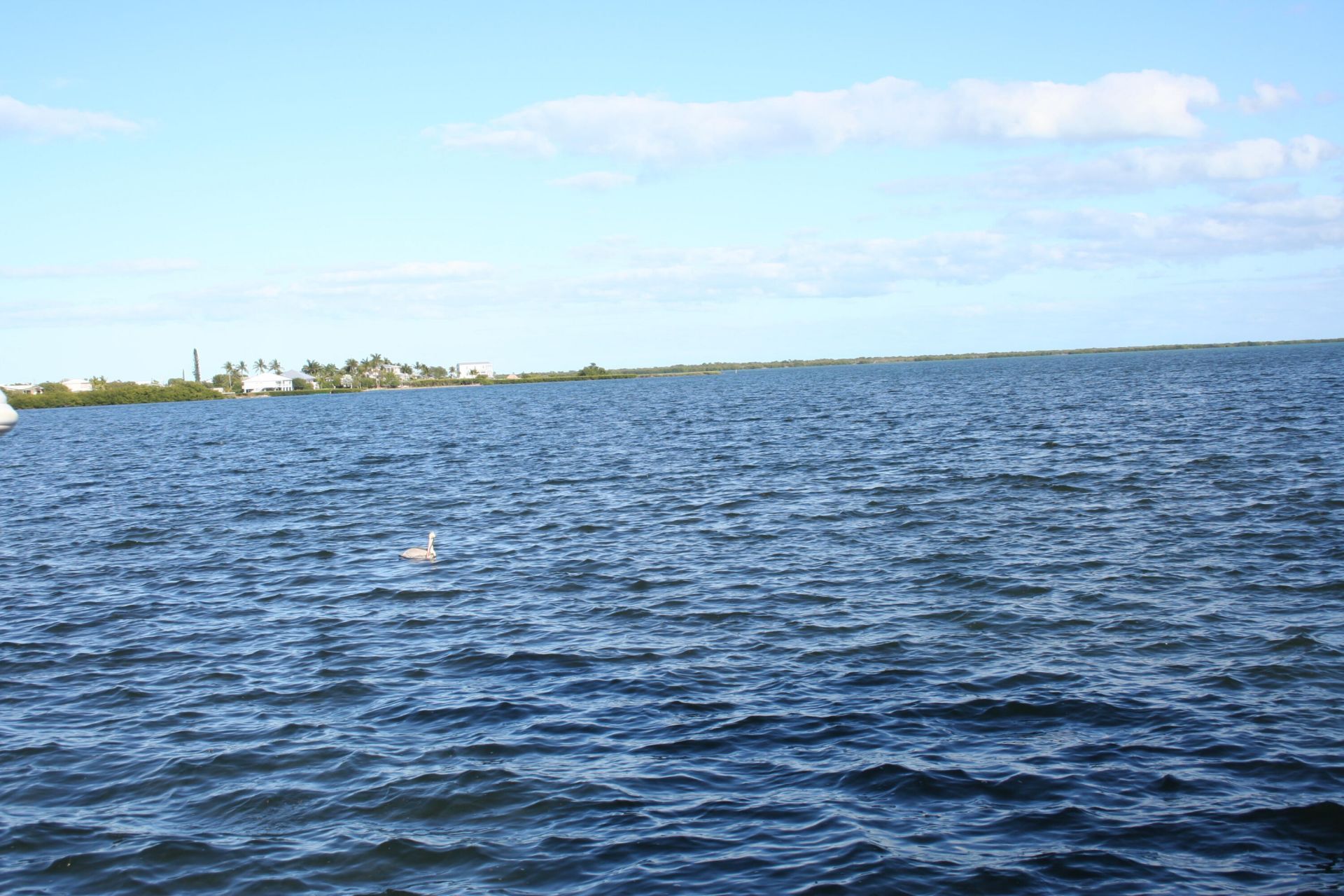 1553 Sunrise Drive, Big Pine Key, FL 33043 Photo