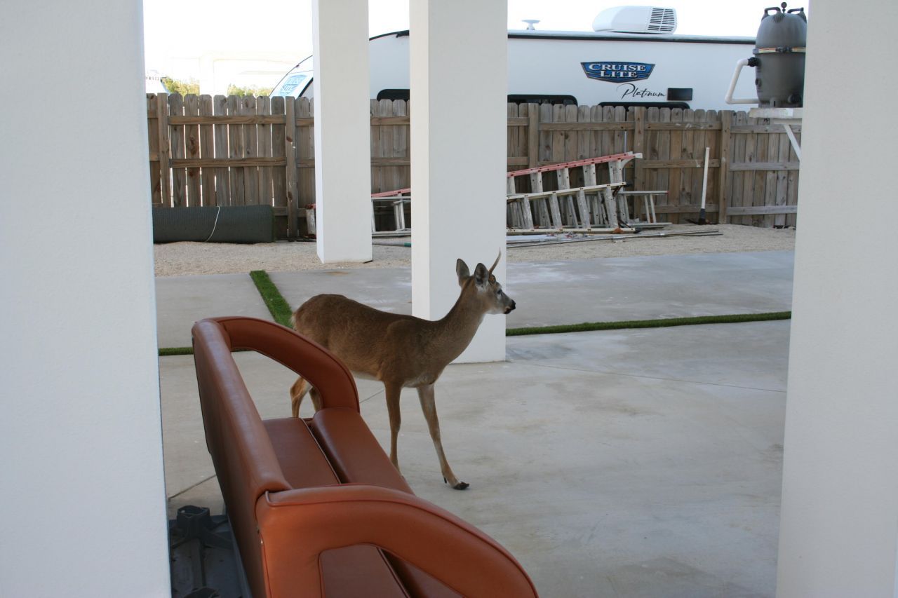 1553 Sunrise Drive, Big Pine Key, FL 33043 Photo