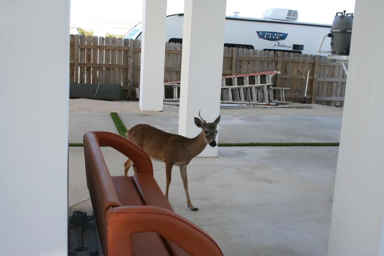 1553 Sunrise Drive, Big Pine Key, FL 33043 Photo