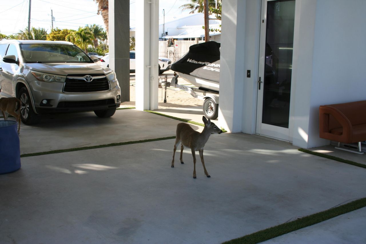 1553 Sunrise Drive, Big Pine Key, FL 33043 Photo