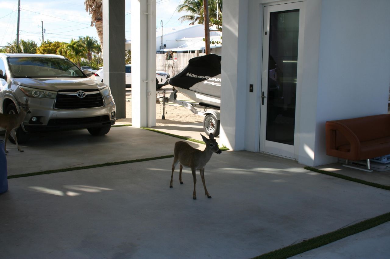 1553 Sunrise Drive, Big Pine Key, FL 33043 Photo