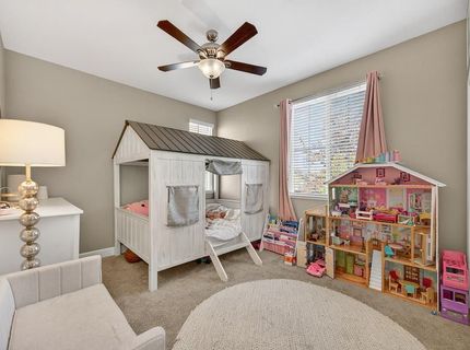 894 Blossom Rock Ln, Folsom, CA 95630 Photo