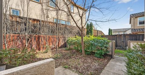 894 Blossom Rock Ln, Folsom, CA 95630 Photo