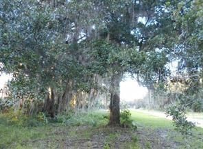 566 Sioux Boulevard, Oak Hill, FL 32759 Main Photo