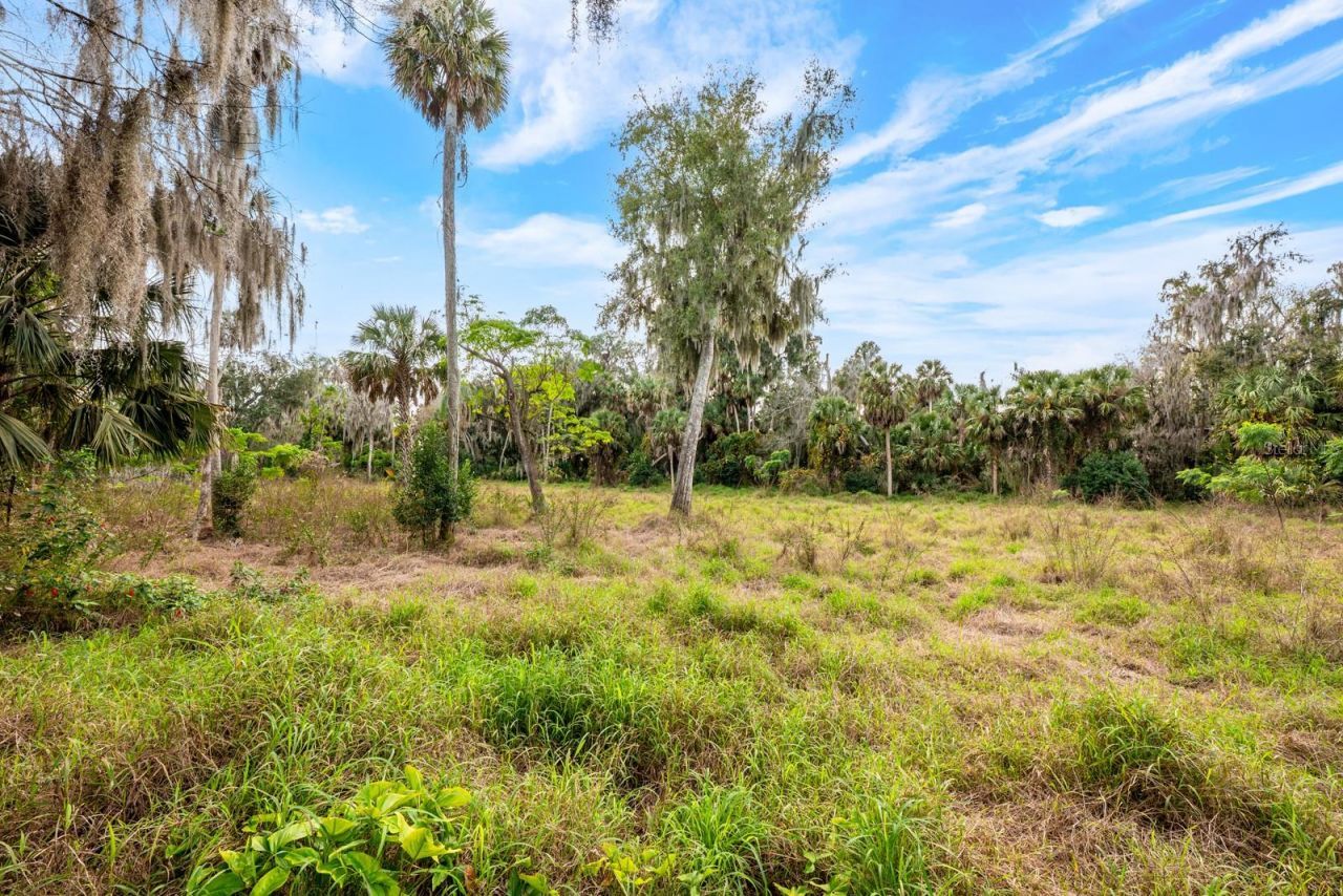 3280 & 3198 Sheaf Road, Apopka, FL 32703 Photo