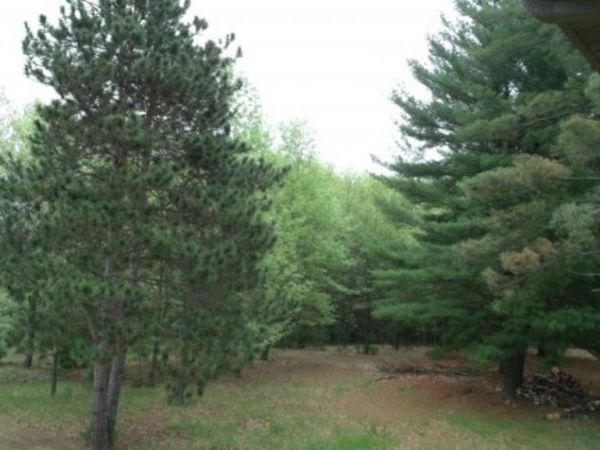 N2719 ONA PINES ROAD, Weyauwega, WI 54883