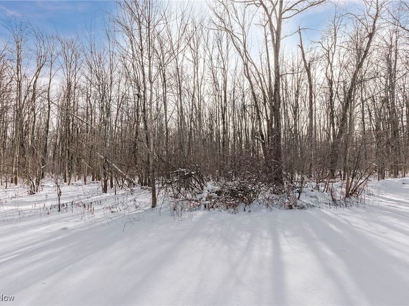 543 Sherwood Drive, Aurora, OH 44202 Photo 44