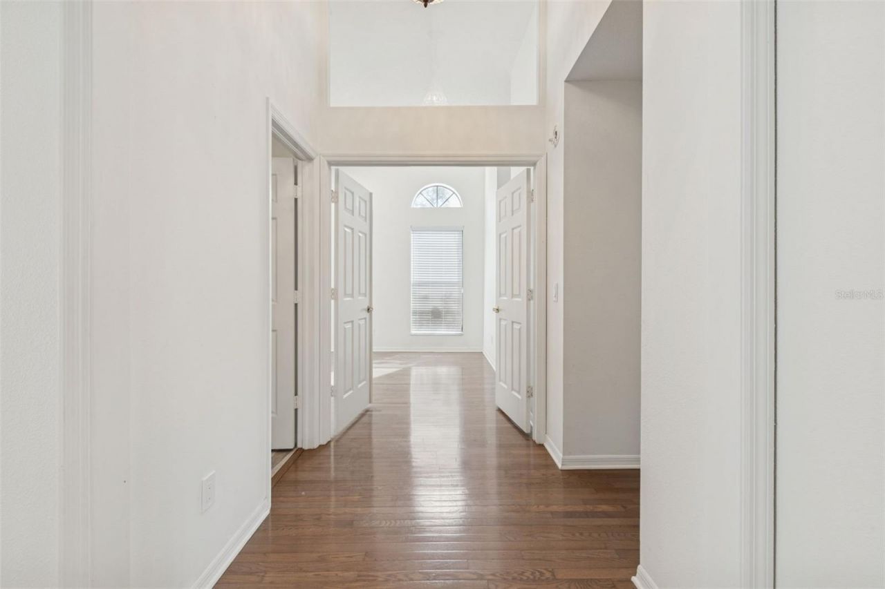 11507 Moffat Place, Temple Terrace, FL 33617 Photo