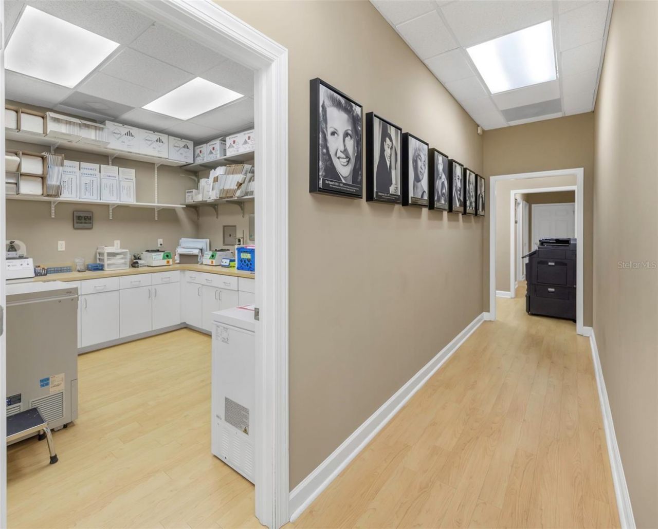 14506 University Point Place, Tampa, FL 33613 Photo