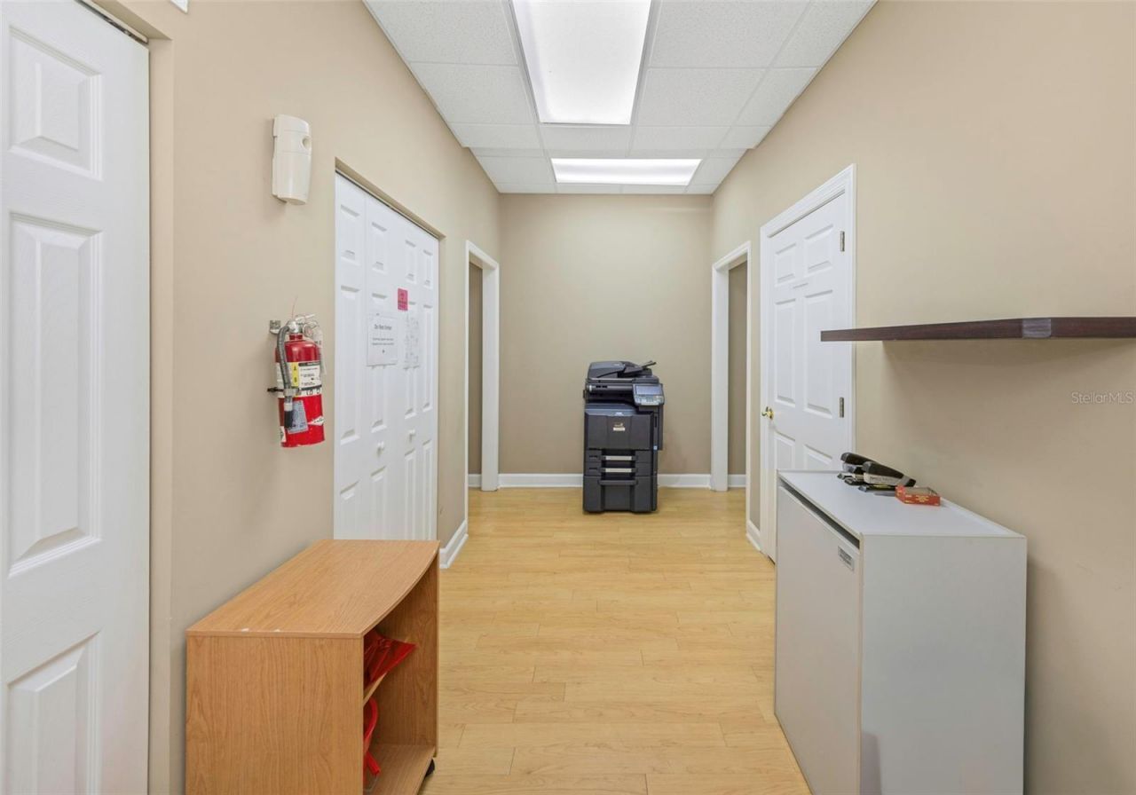 14506 University Point Place, Tampa, FL 33613 Photo