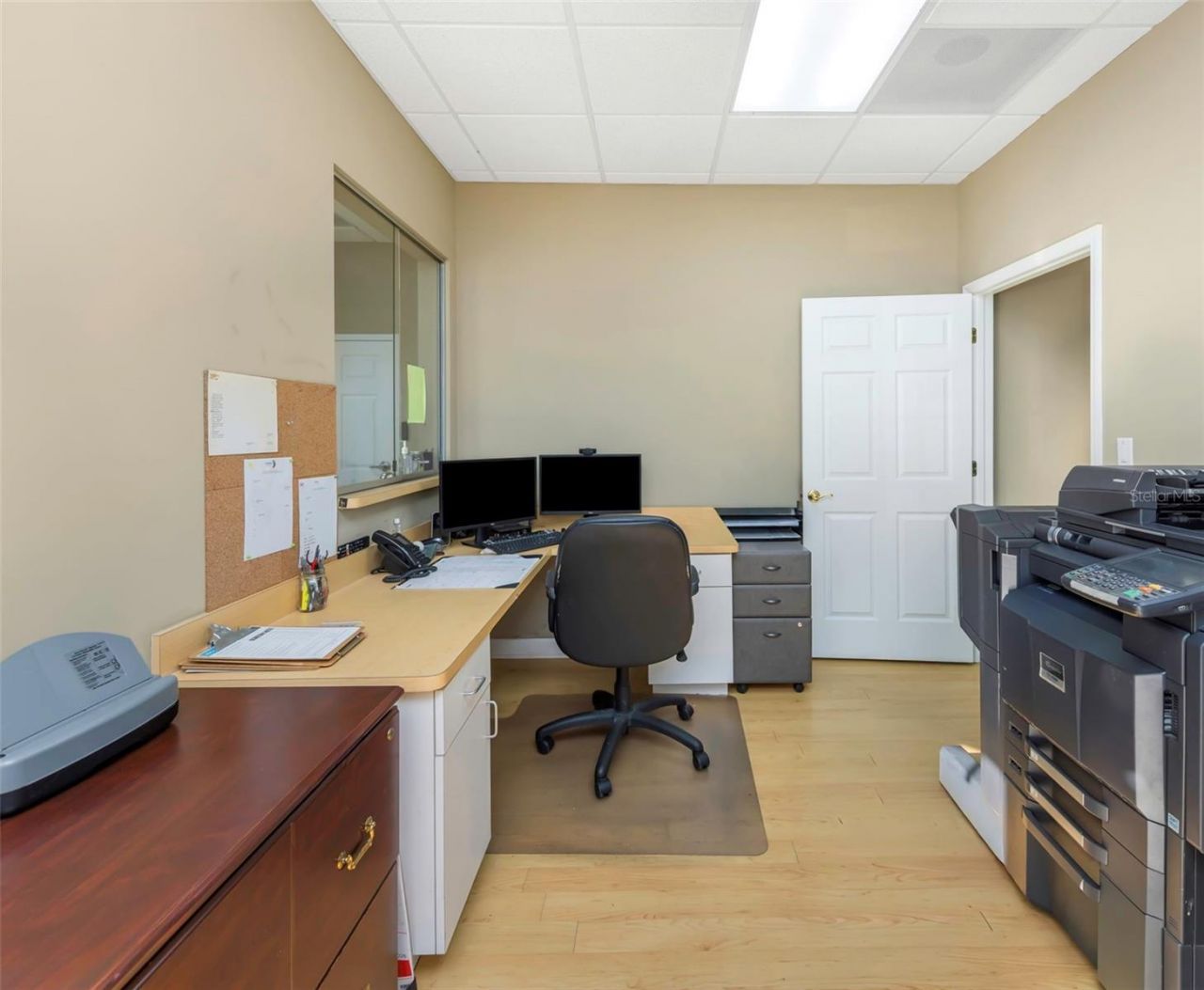 14506 University Point Place, Tampa, FL 33613 Photo