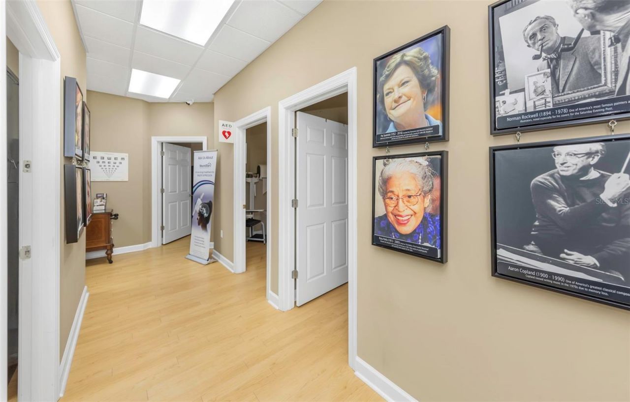 14506 University Point Place, Tampa, FL 33613 Photo