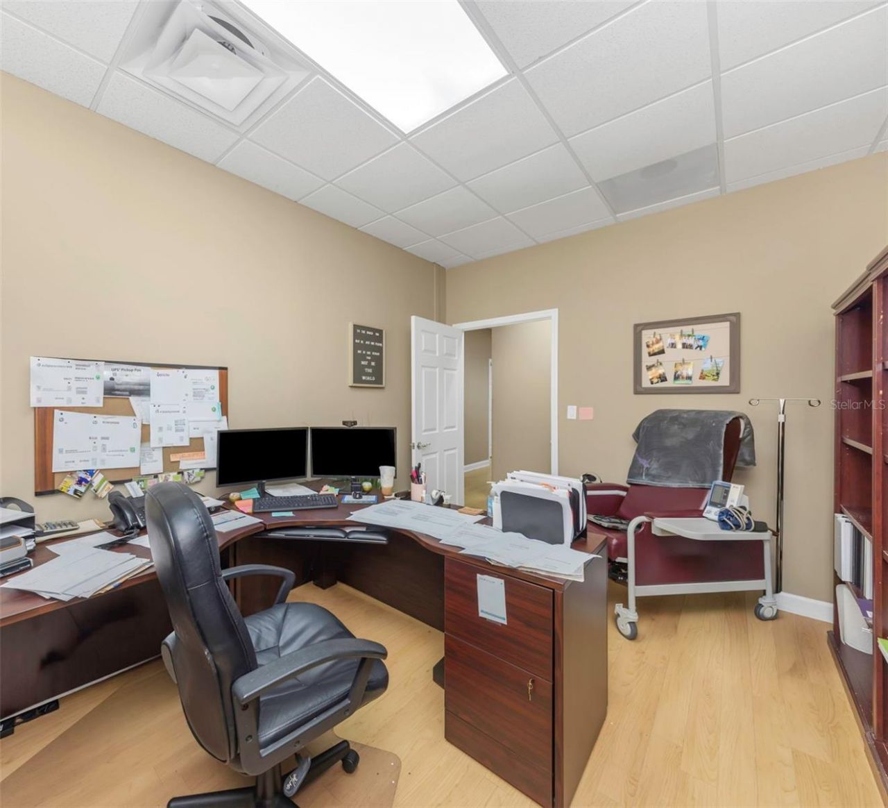 14506 University Point Place, Tampa, FL 33613 Photo