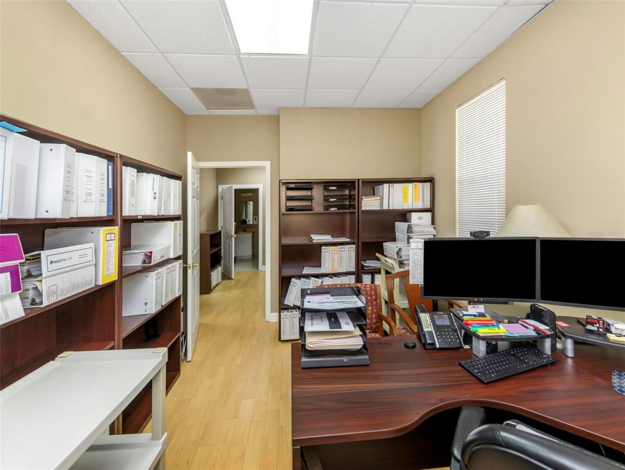 14506 University Point Place, Tampa, FL 33613 Photo