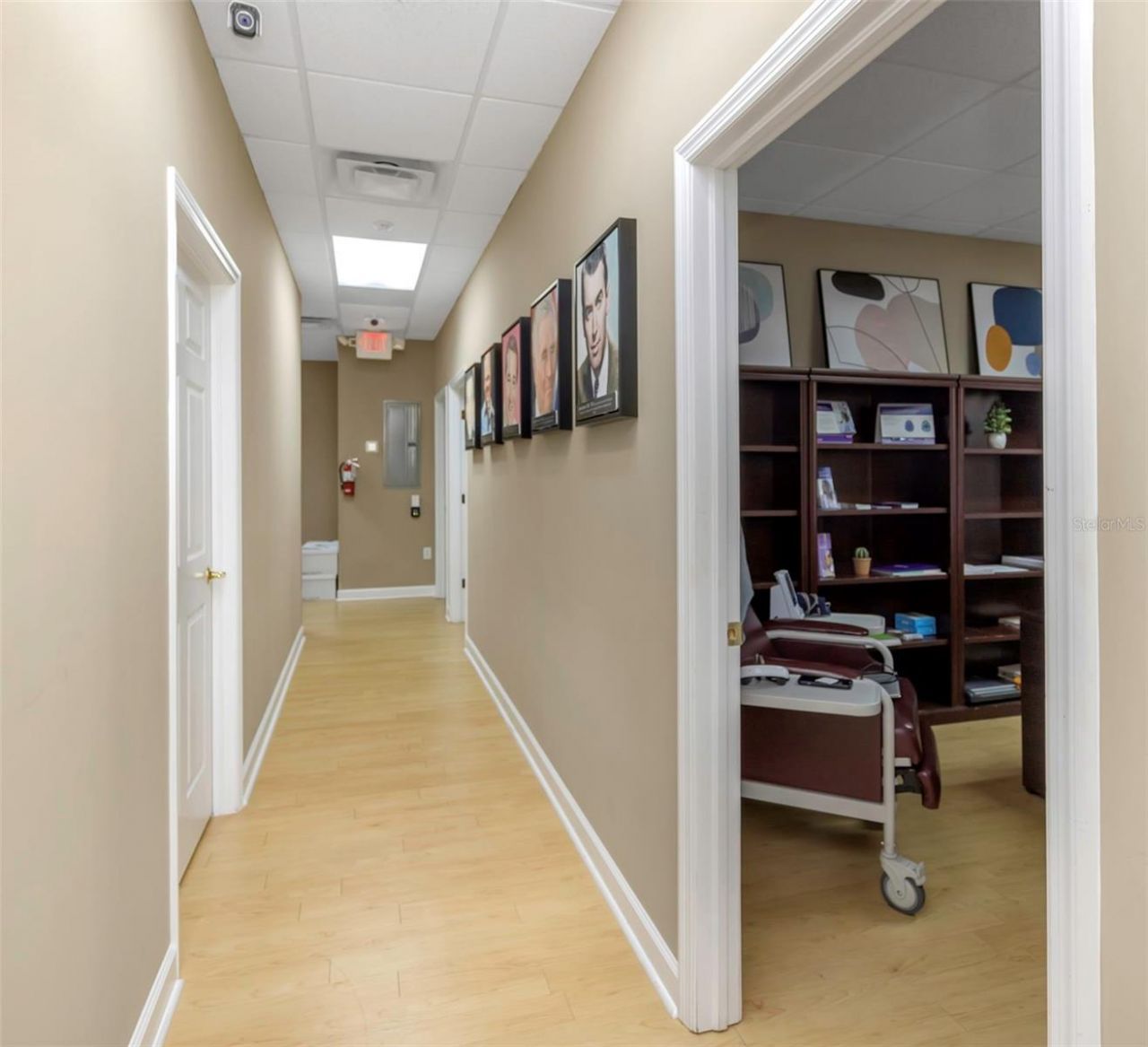 14506 University Point Place, Tampa, FL 33613 Photo