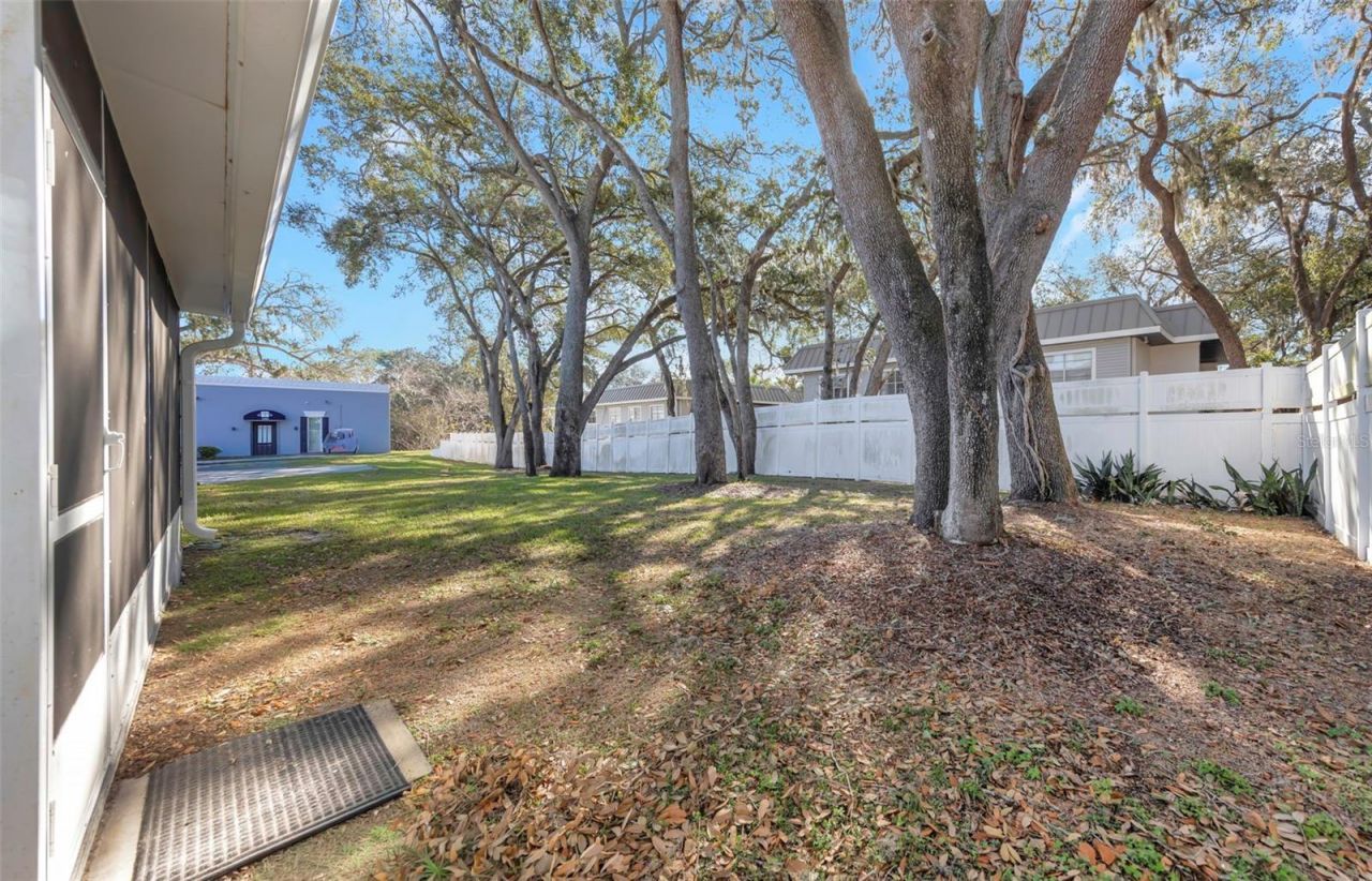 14506 University Point Place, Tampa, FL 33613 Photo