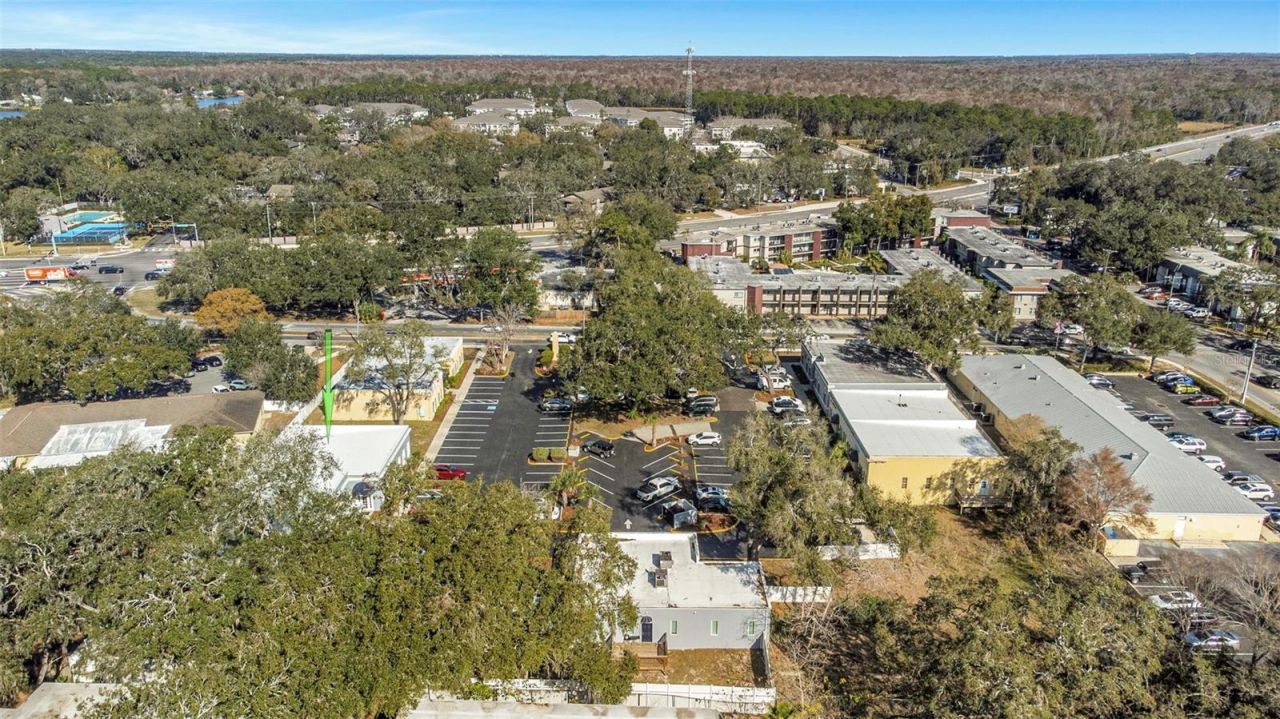 14506 University Point Place, Tampa, FL 33613 Photo