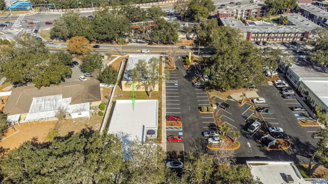 14506 University Point Place, Tampa, FL 33613 Photo