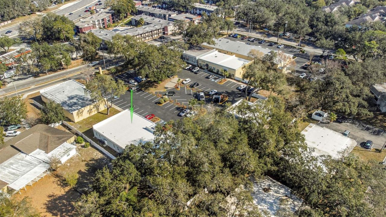 14506 University Point Place, Tampa, FL 33613 Photo