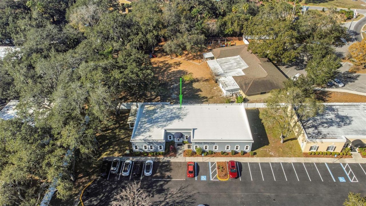 14506 University Point Place, Tampa, FL 33613 Photo