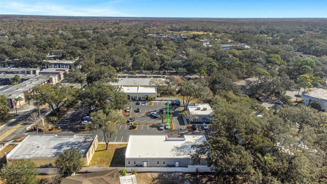 14506 University Point Place, Tampa, FL 33613 Photo