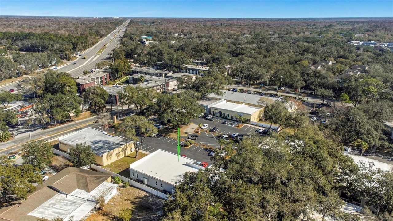 14506 University Point Place, Tampa, FL 33613 Photo