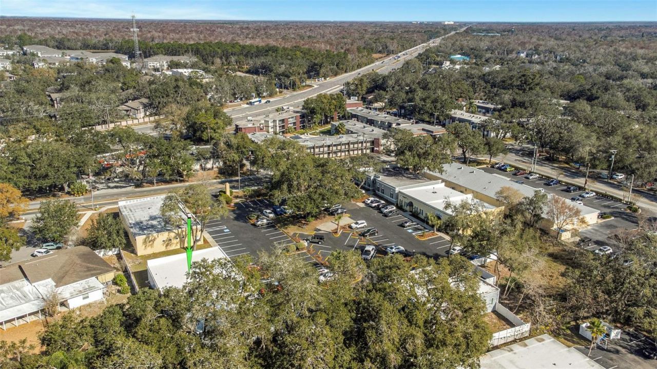 14506 University Point Place, Tampa, FL 33613 Photo