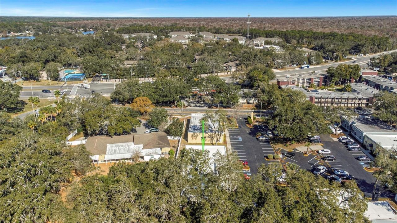 14506 University Point Place, Tampa, FL 33613 Photo