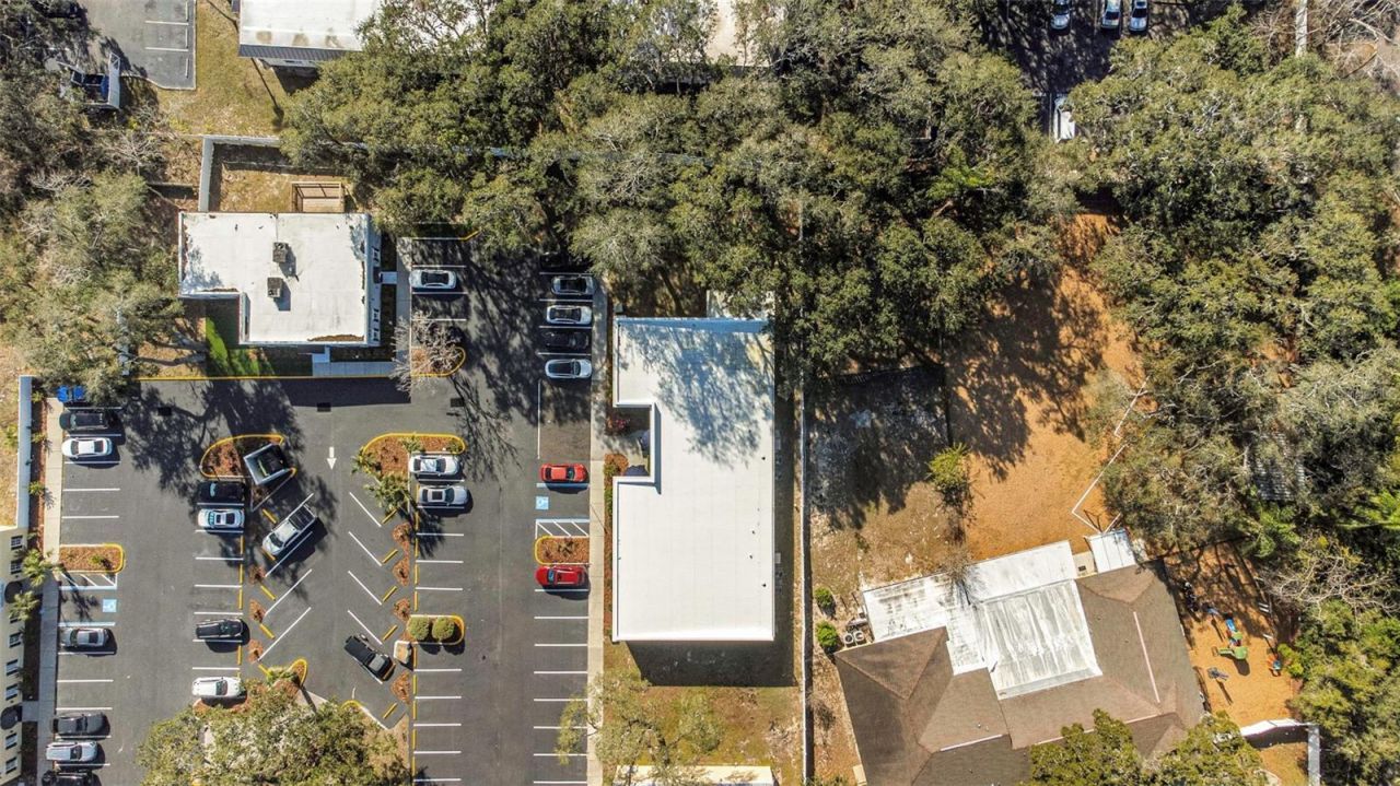 14506 University Point Place, Tampa, FL 33613 Photo