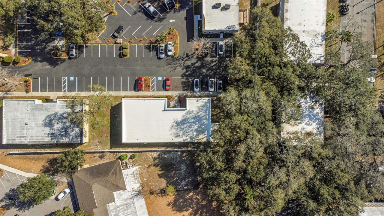 14506 University Point Place, Tampa, FL 33613 Photo